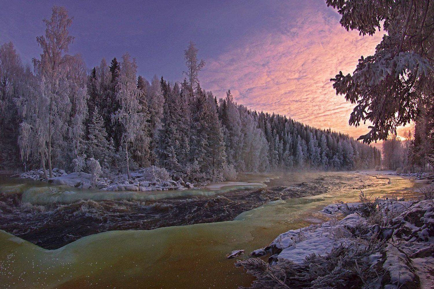 , Петр Косых