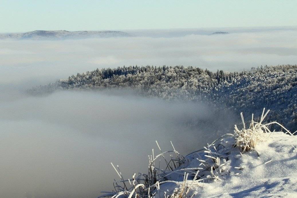 , Krzysztof Tomasiak