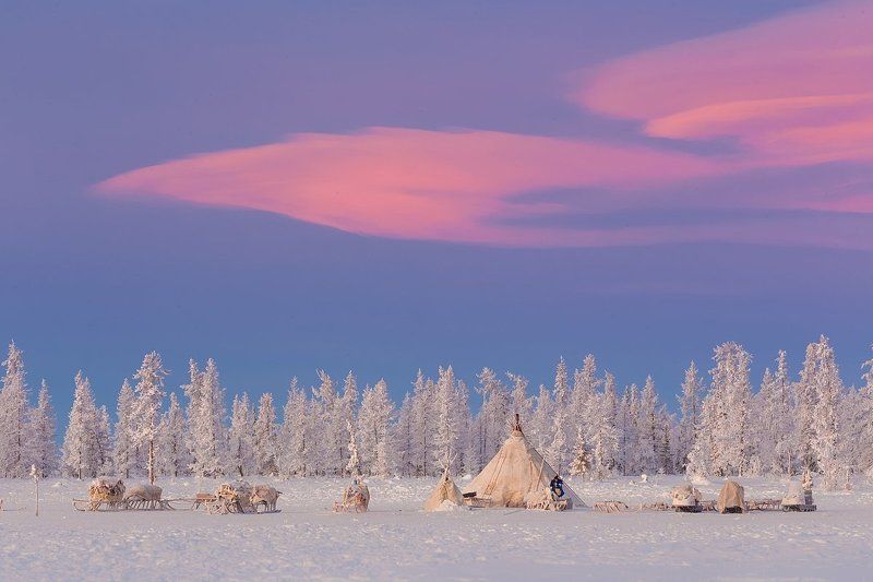 Welcome to Yamal! фото превью