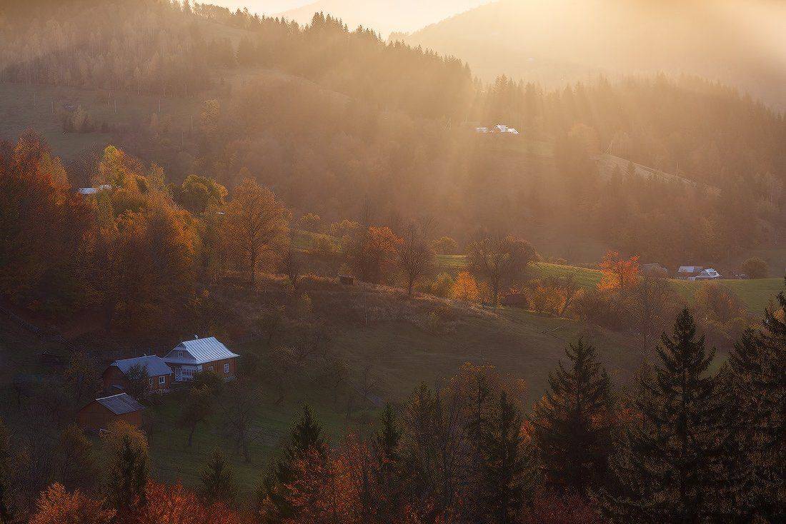 , Ярослав Тюрменко (Jaremi)