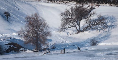 Сельский хоккей