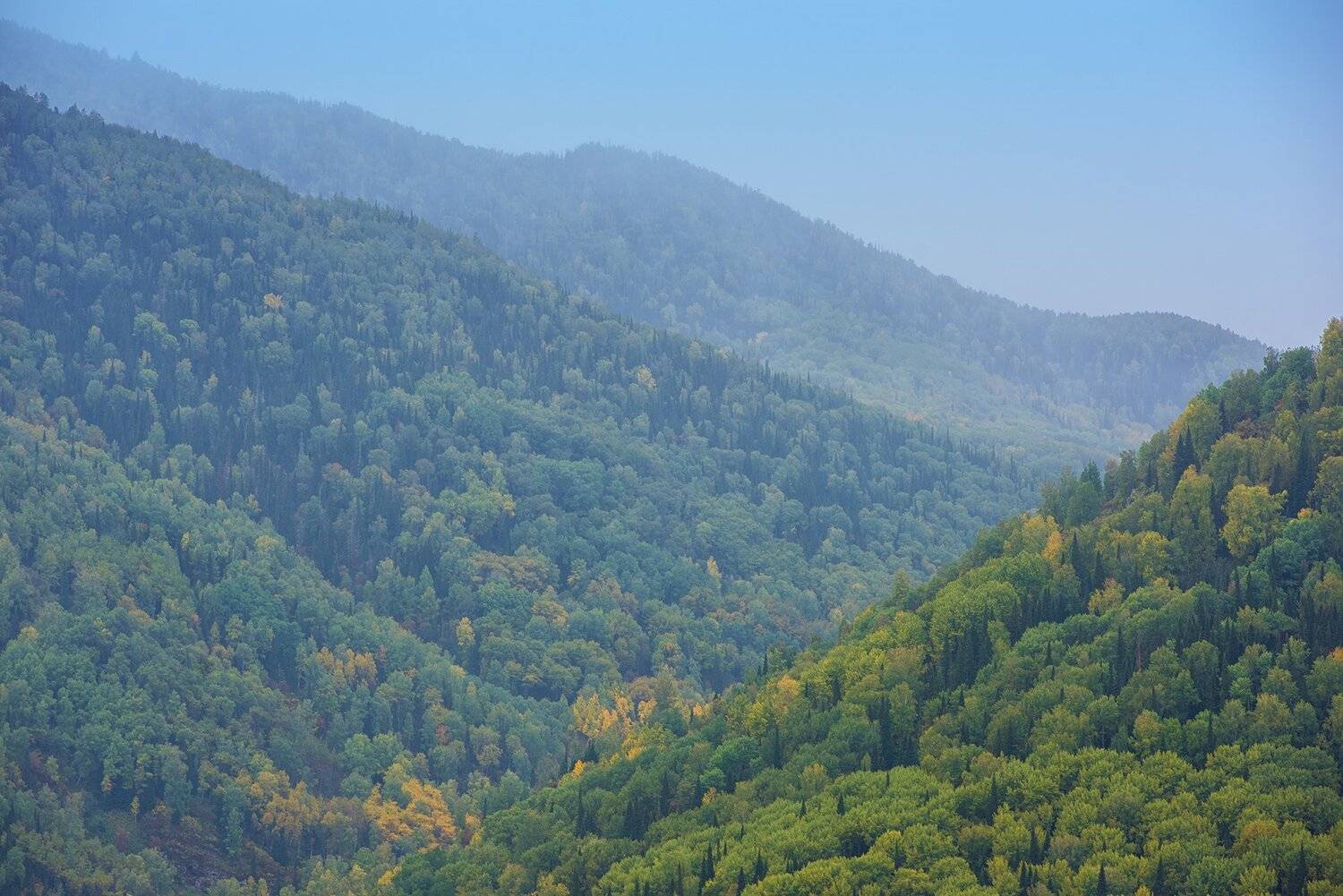 алтай, тигирек, Ruslan