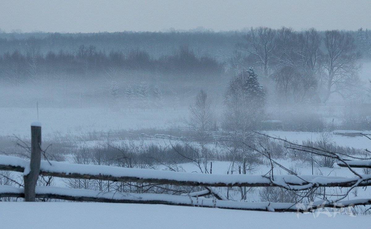 , Шангареев Марс