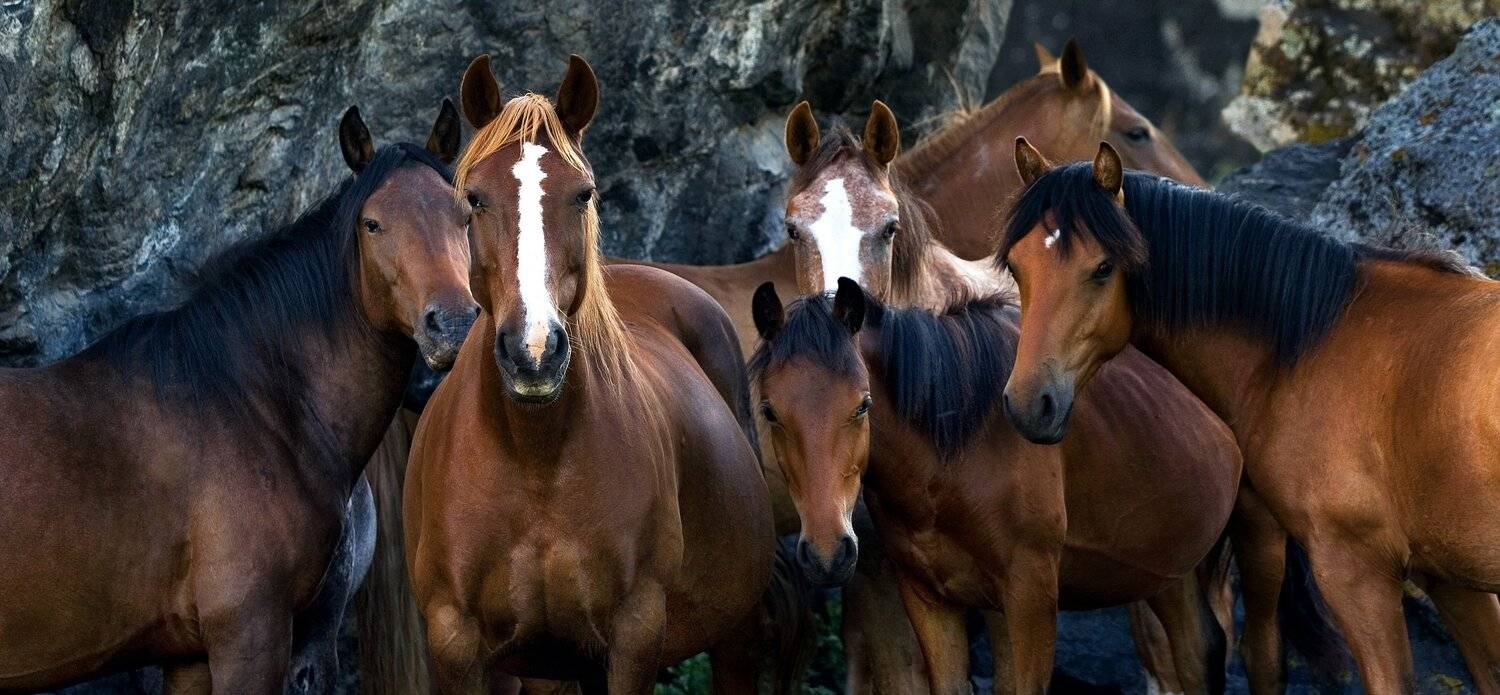 , Рудик Валерий