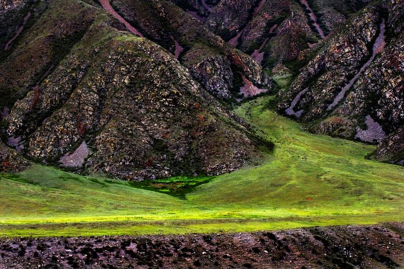 Алтай фото превью