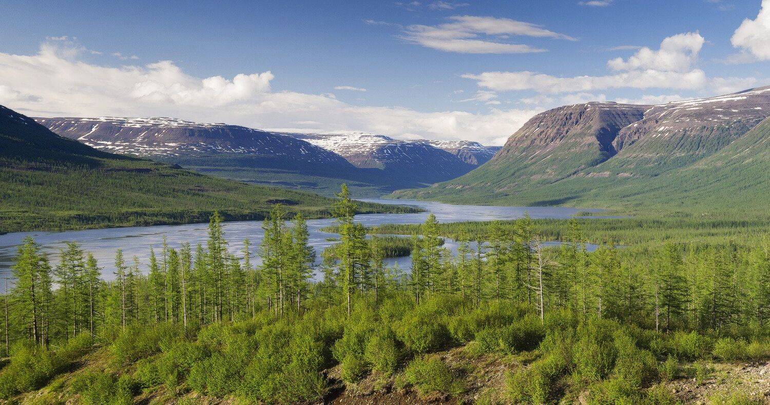 , Лещёнок Александр