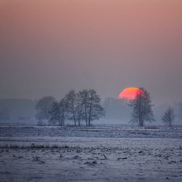 , Pawel Plucinski