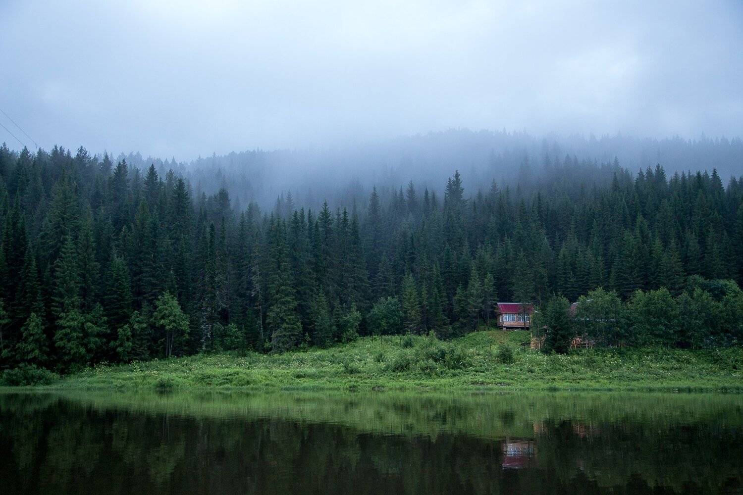 туман, лес, река, домик, Савицкий Ян