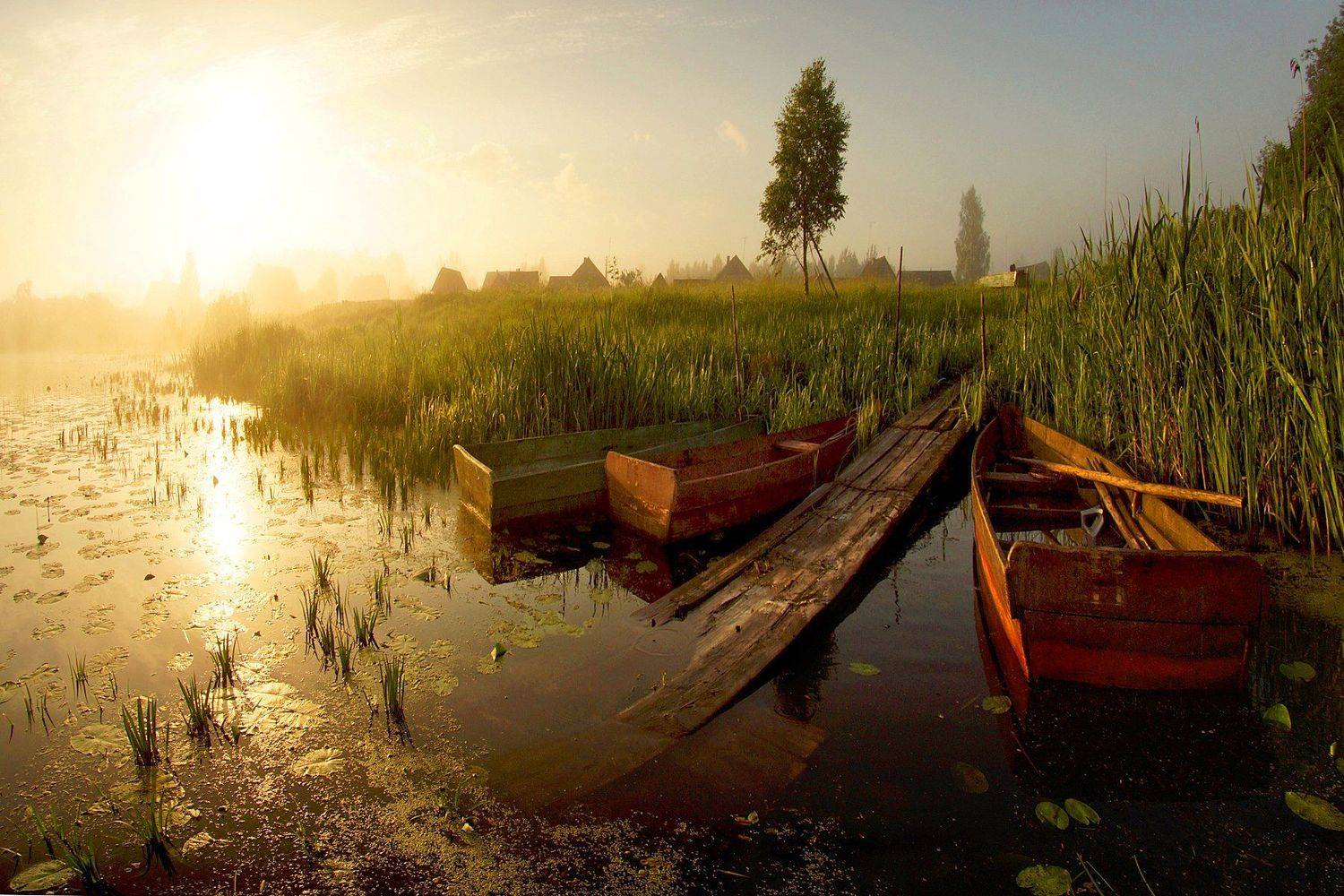 Река, Усвяча, Петр Косых