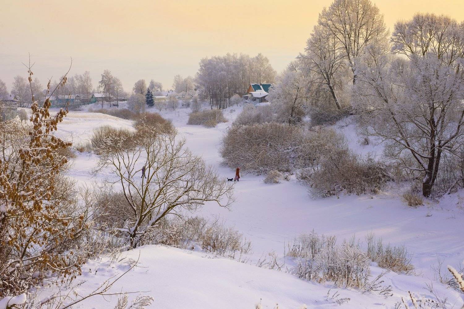 деревенский пейзаж, деревья в инее, зима, пейзаж, мороз,пейзаж,река,снег, смоленская область, сугробы, россия, небо,, Лидия Киприч