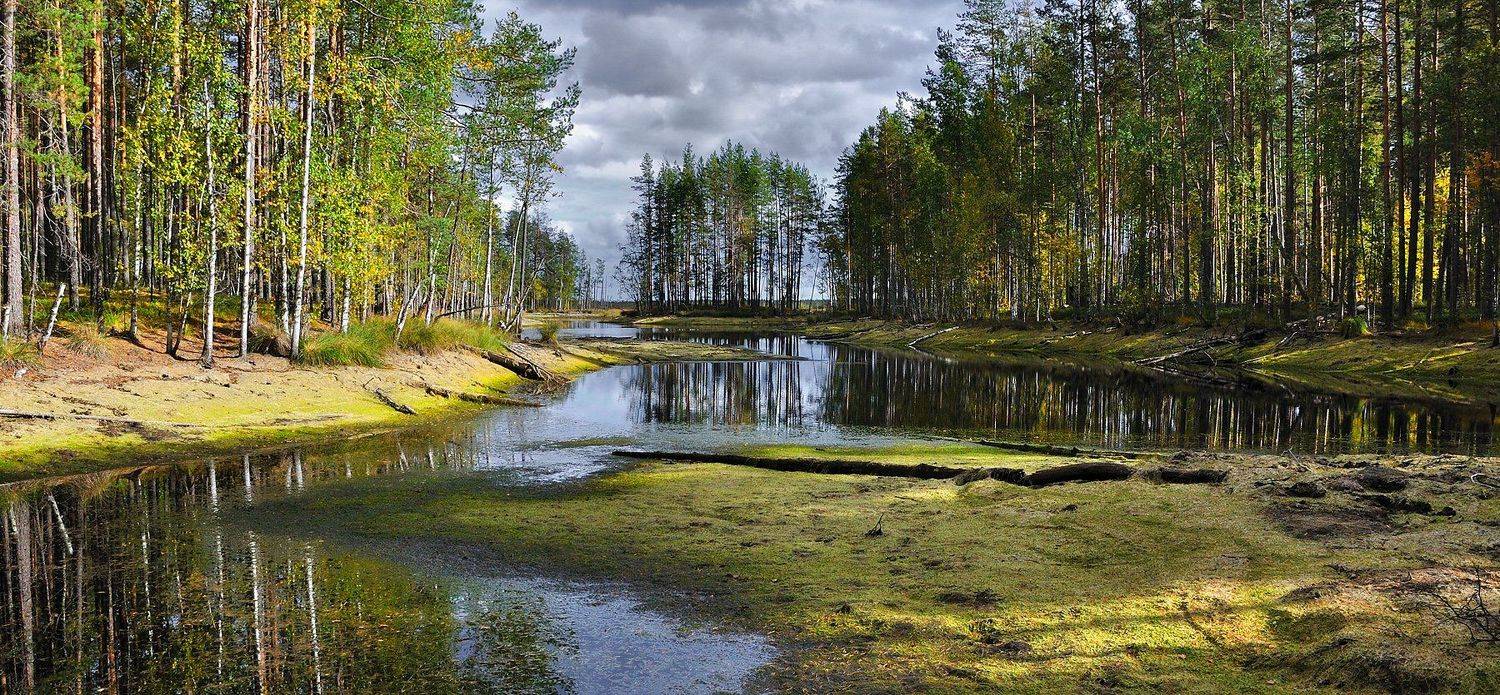 , Андрей Куликов