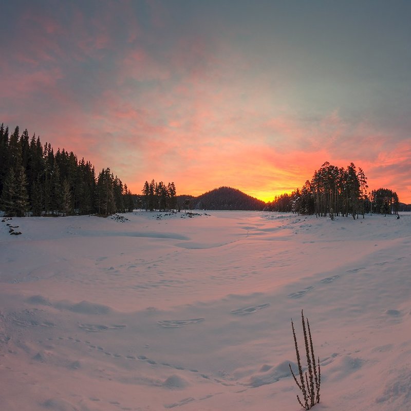 Утро фото превью