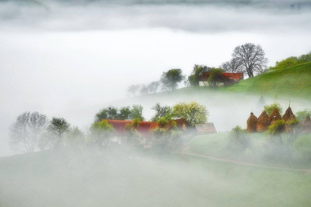 , Stefan Chirobocea