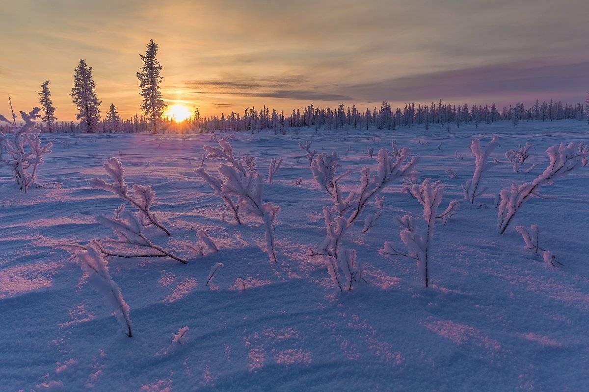 ямал, мороз, зима, снег, закат, полярный урал, север, наст, Кирилл Уютнов