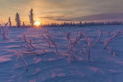 Вечер безмятежности