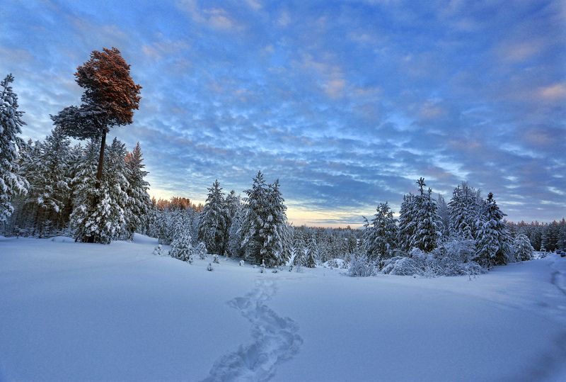 Закат, Небо, Север, Снег На закате фото превью