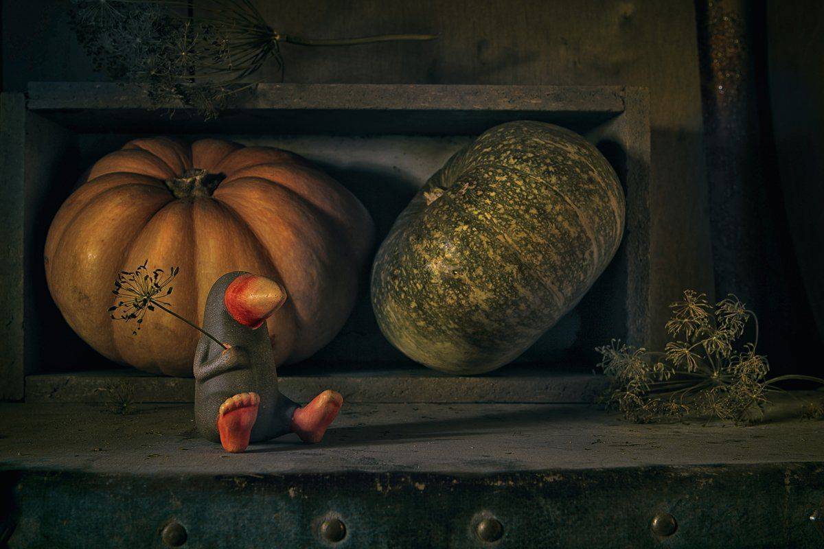 натюрморт, тыквы, укроп, ворона, фигурка, чемодан, Наталья Голубева