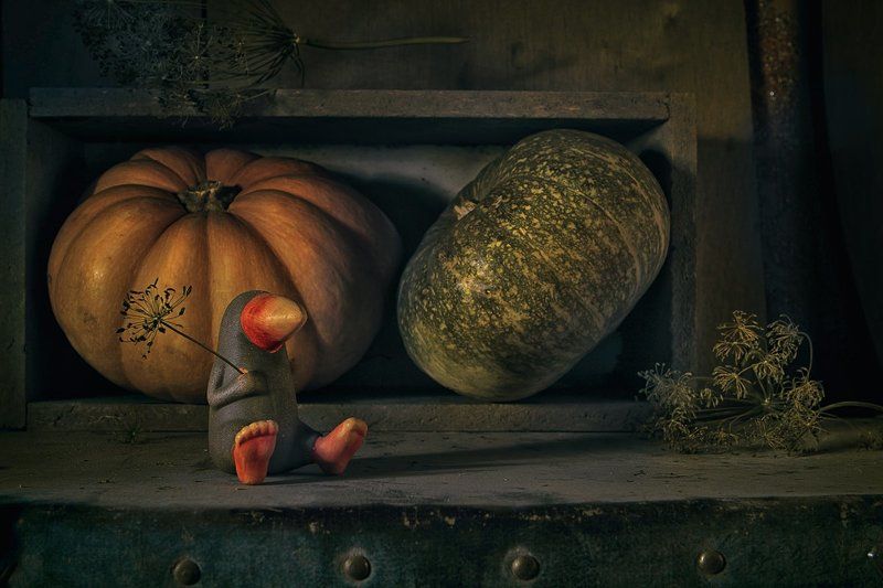 натюрморт, тыквы, укроп, ворона, фигурка, чемодан Про ворону фото превью