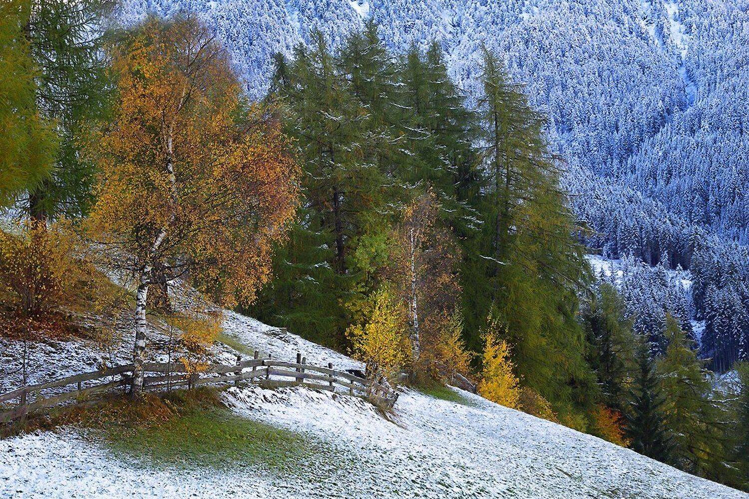 , Игорь Дубровский