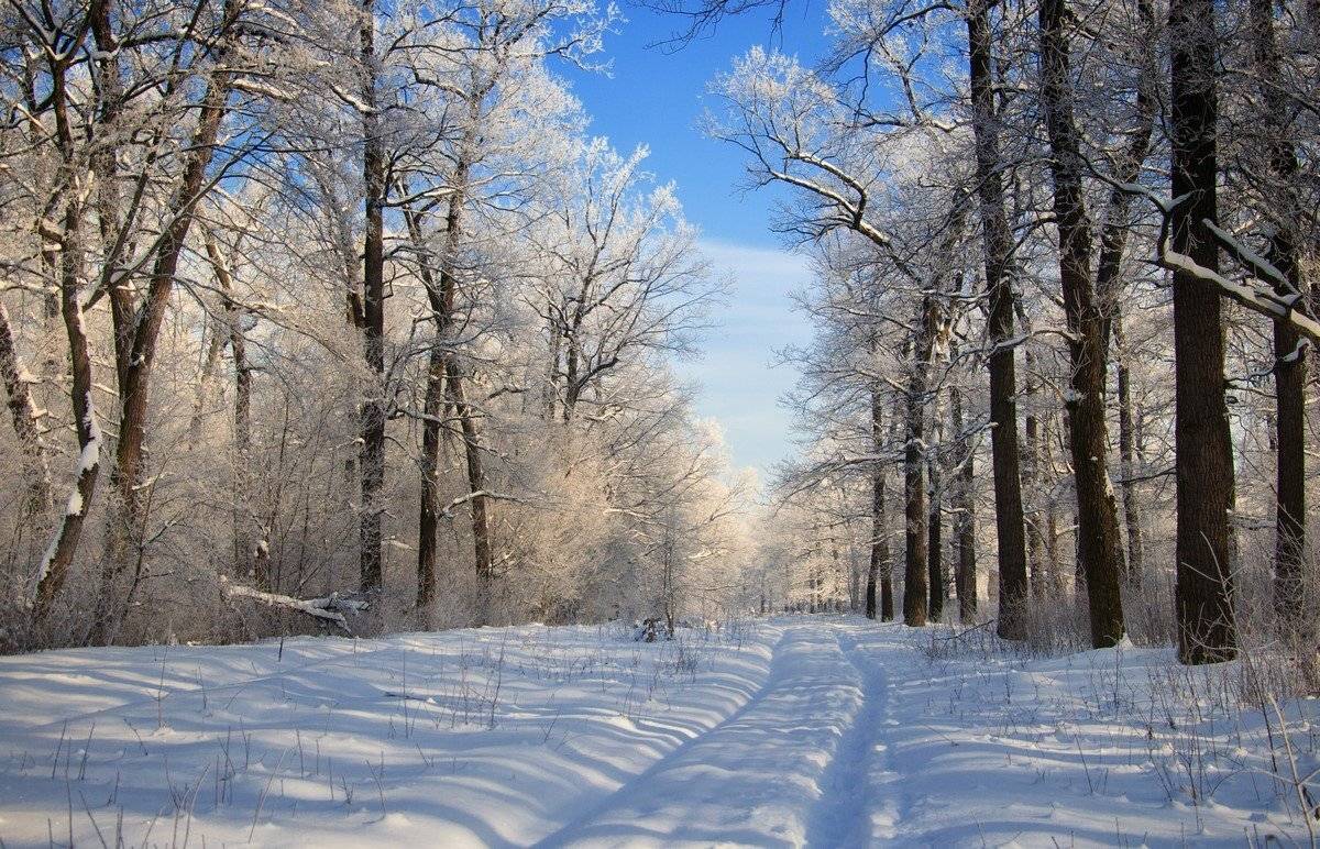 , Роман Красов