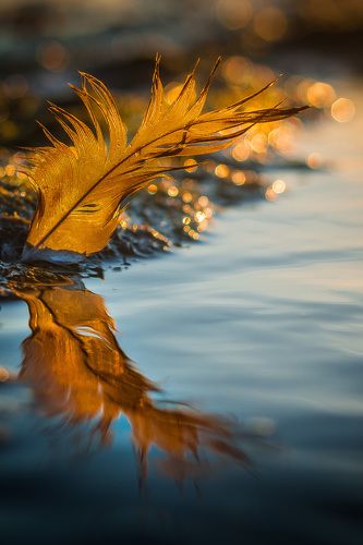 Bright moments