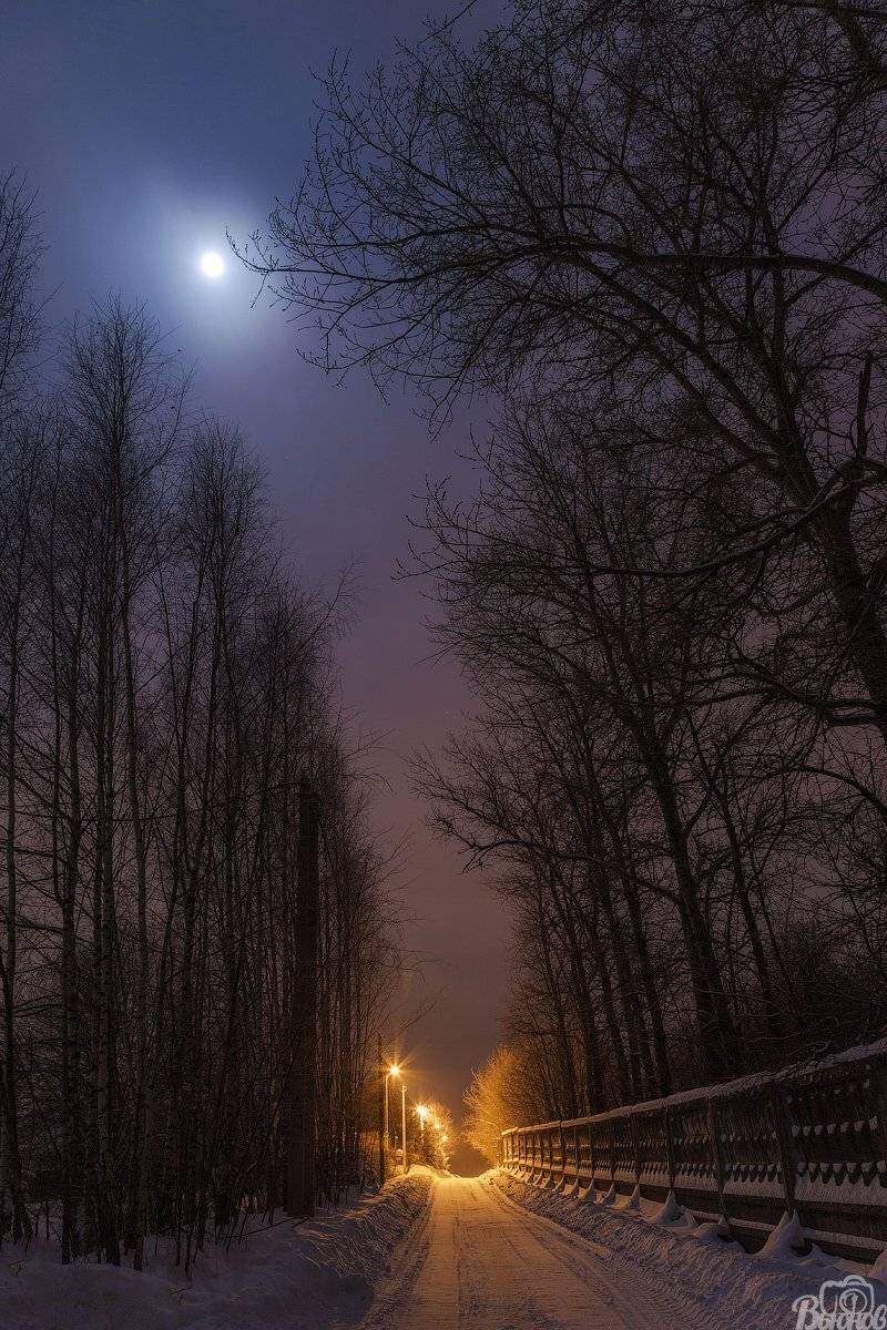 Деревня, Луна, Московская область, Мытищинский район, Ночная дорога, Ночной пейзаж, Подмосковье, Фелисово, Сергей Вьюнов