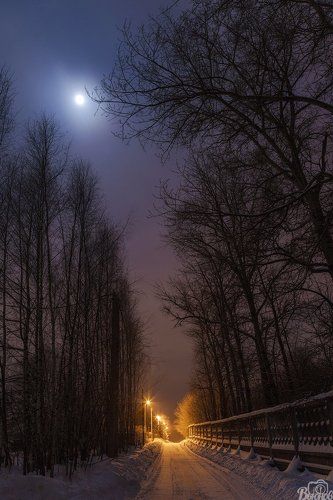 Лунная ночь