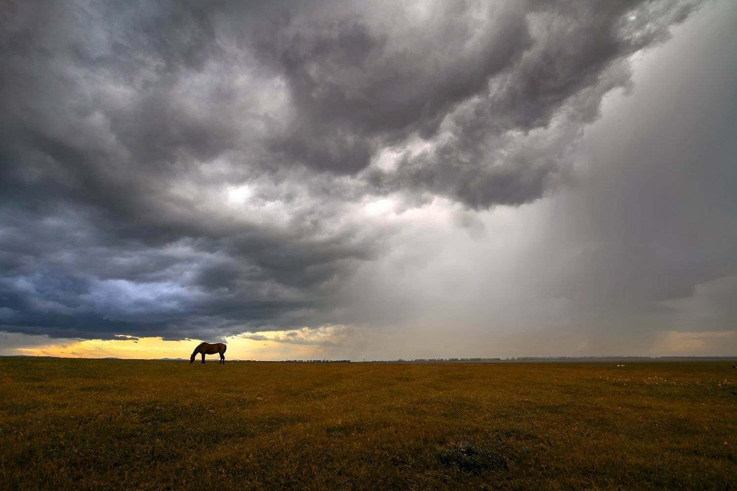 , Александр Сысуев