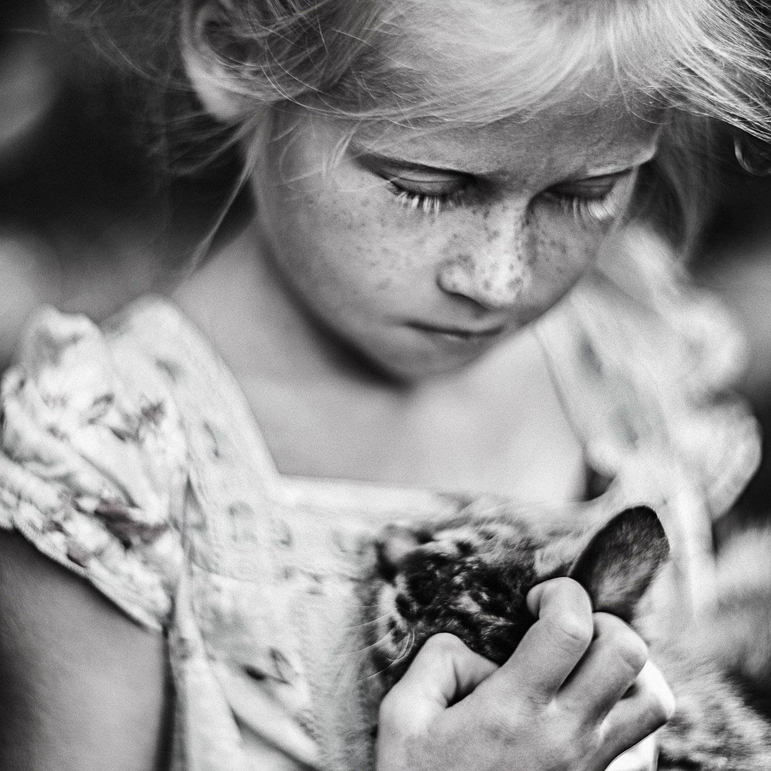 #dendzen, Денис Бондаренко