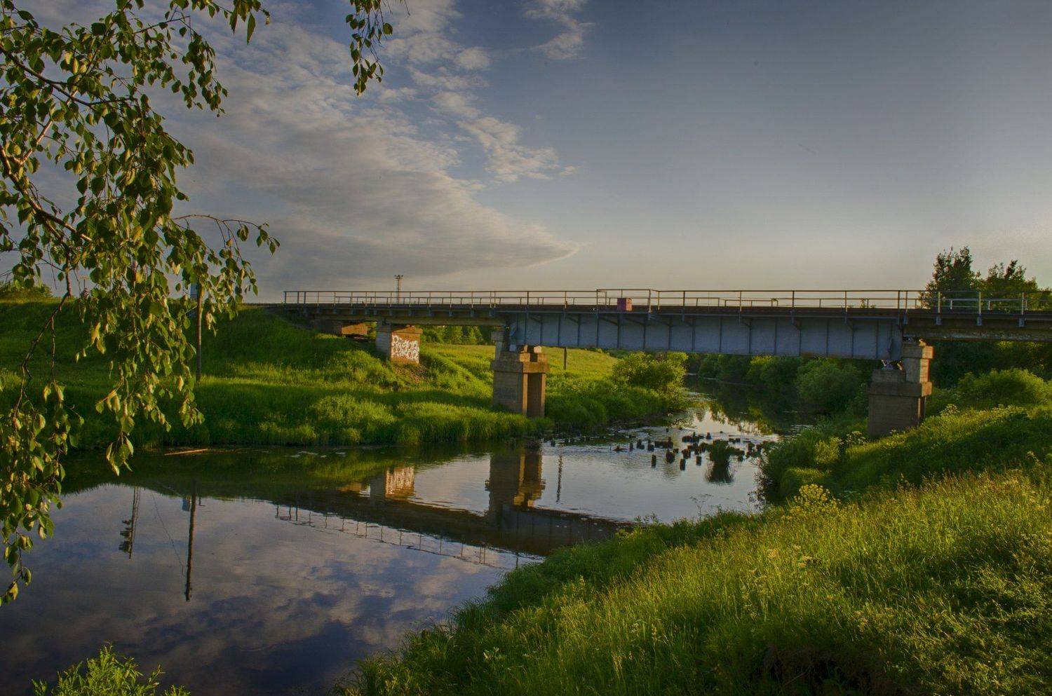 река,лето,зелень, Карепанов Евгений