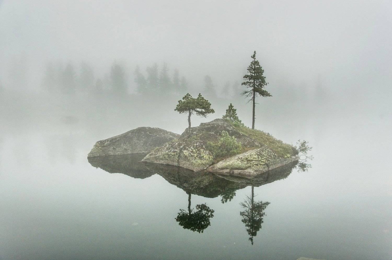 , Алексей Кретов