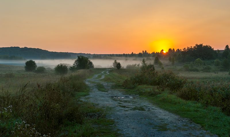 Утро проснулось... фото превью