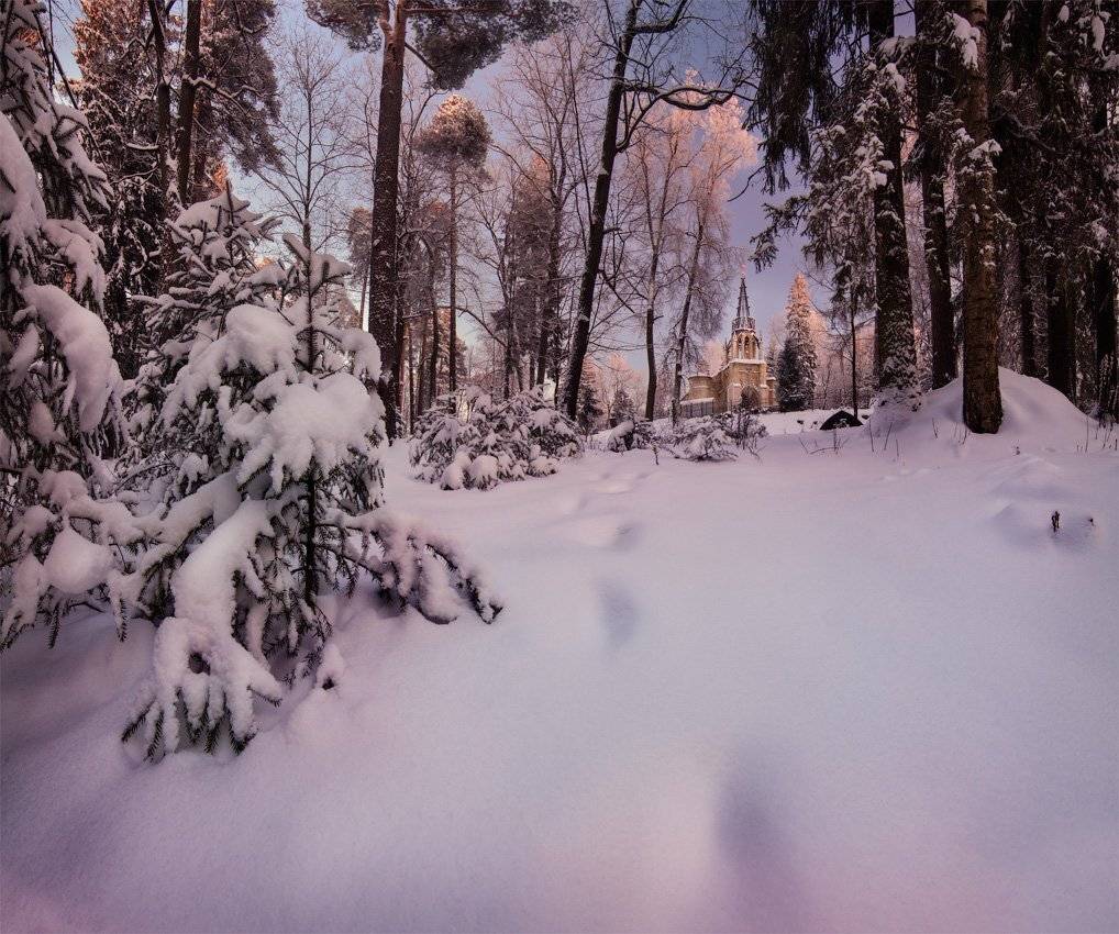 церковь, спб, зима, Дмитрий Воронцов