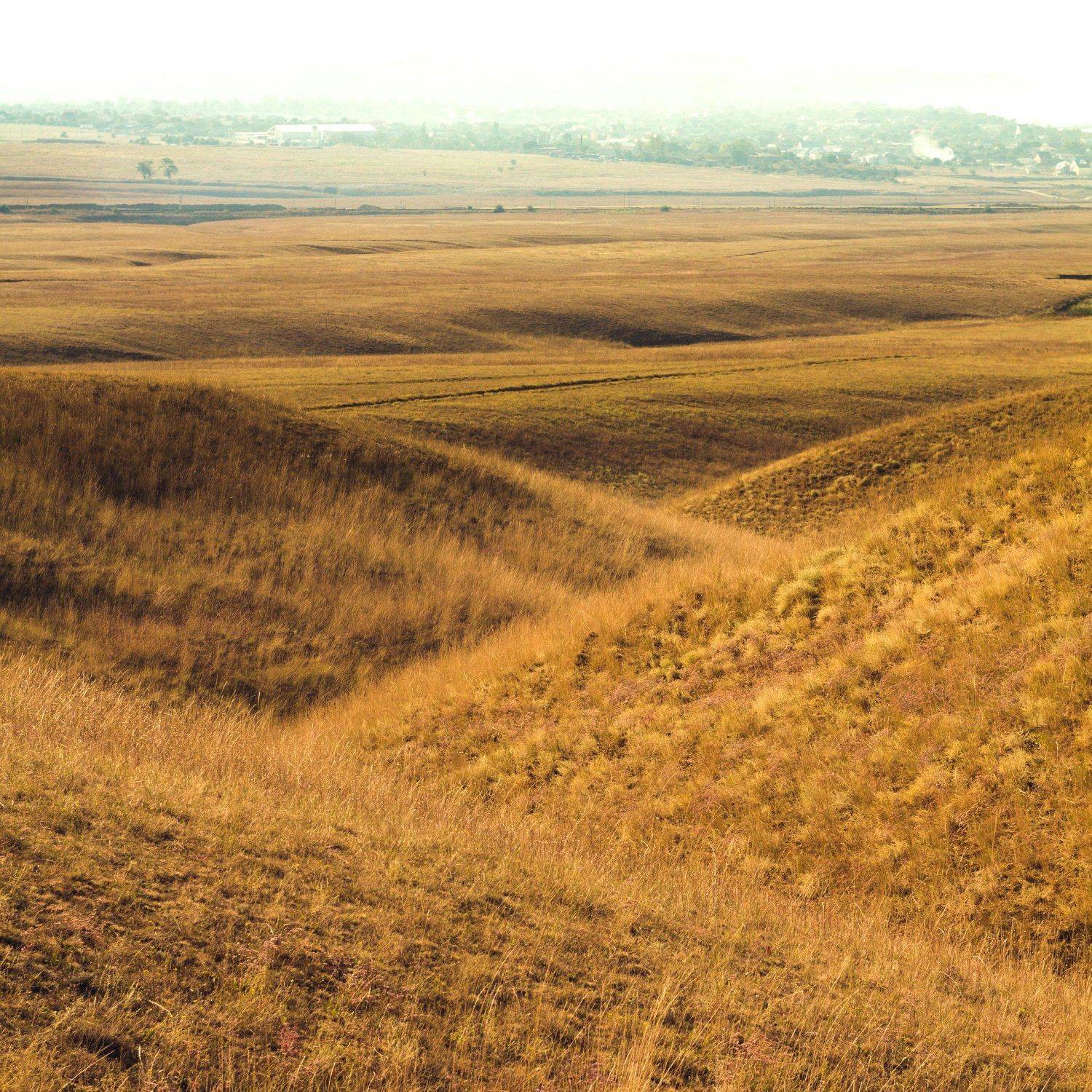 тамань, лето, поле, холмы, Коровин Кирилл
