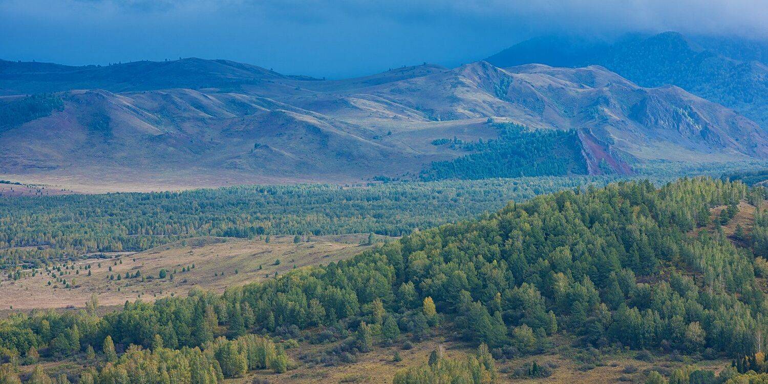 алтай, тигирек, Ruslan