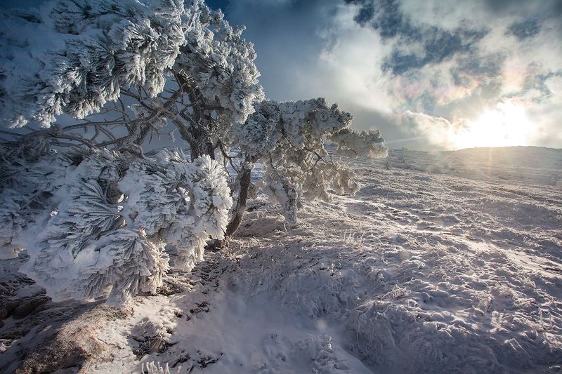 *** фото превью