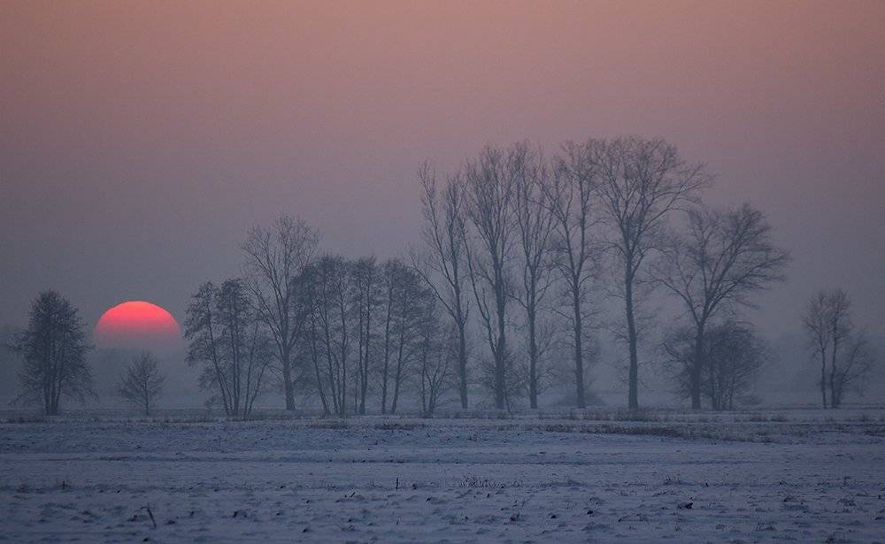 , Pawel Plucinski