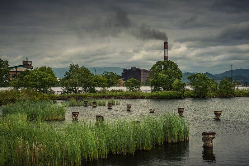 *** фото превью