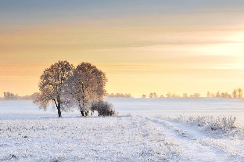 ... фото превью