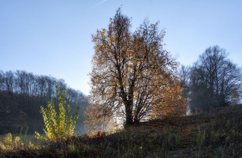 Озарение фото превью