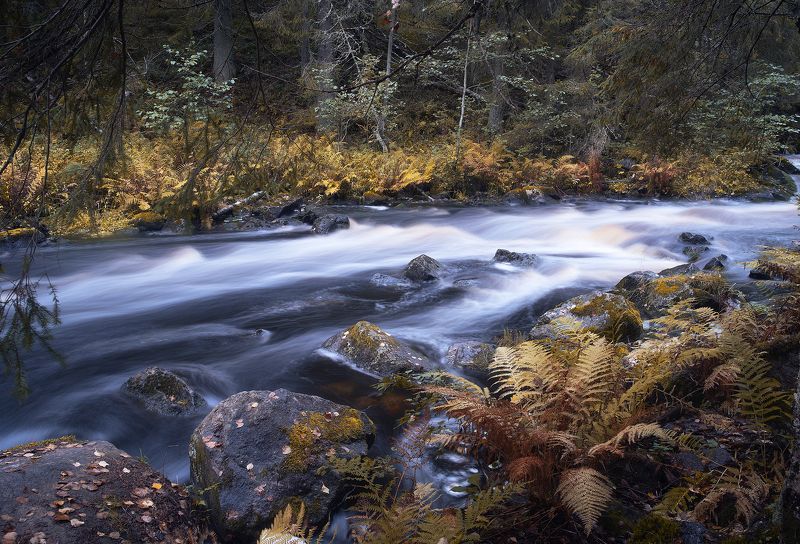 Реки Карелии фото превью