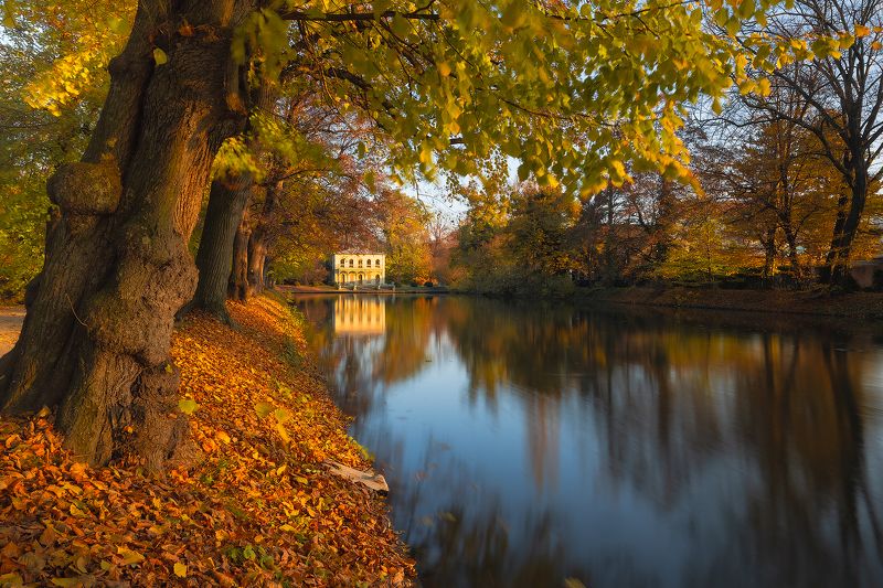 Autumn фото превью