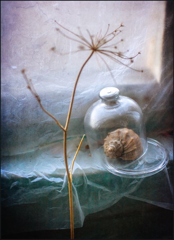 * * * фото превью