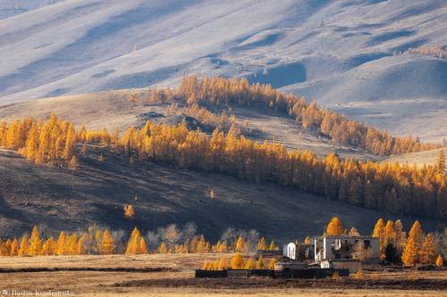 Осенние краски Алтая