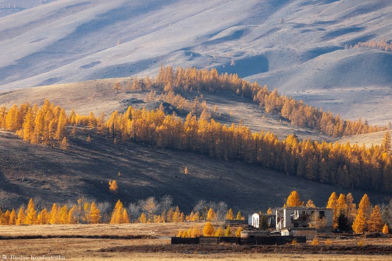 Осенние краски Алтая фото превью