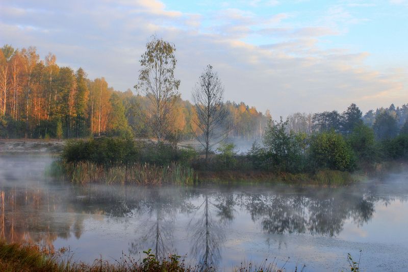 Осеннее утро в Беловежской пуще фото превью