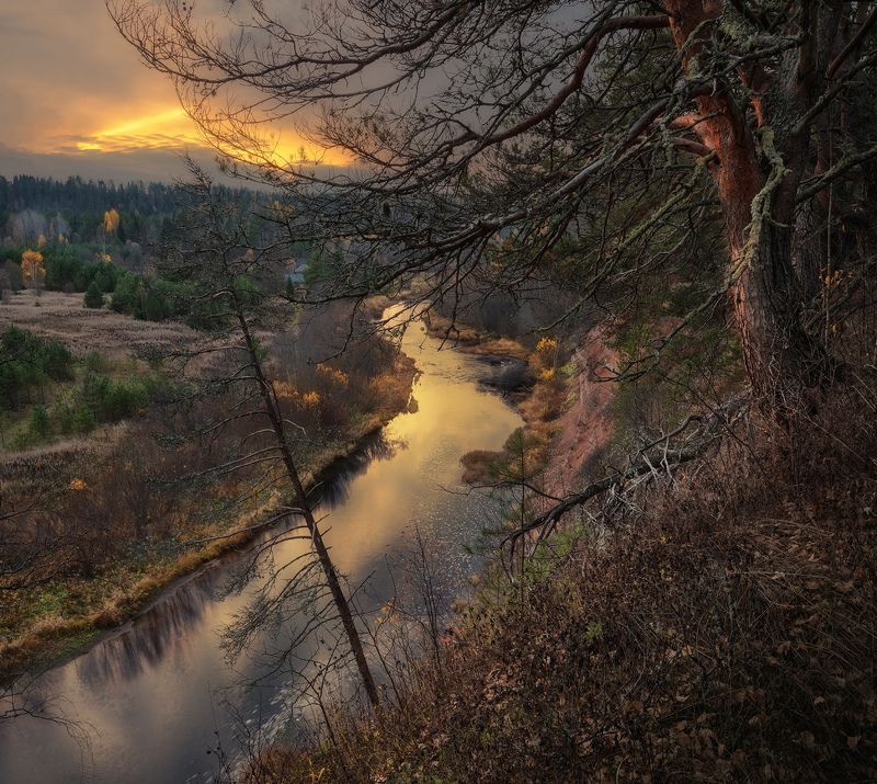 Осенний лес фото превью