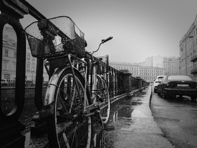 552 фото превью