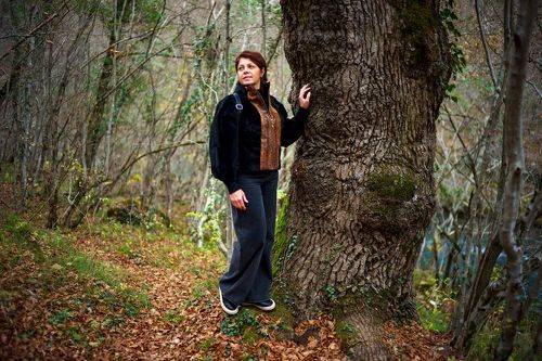 Поздняя осень в Чернореченском каньоне.