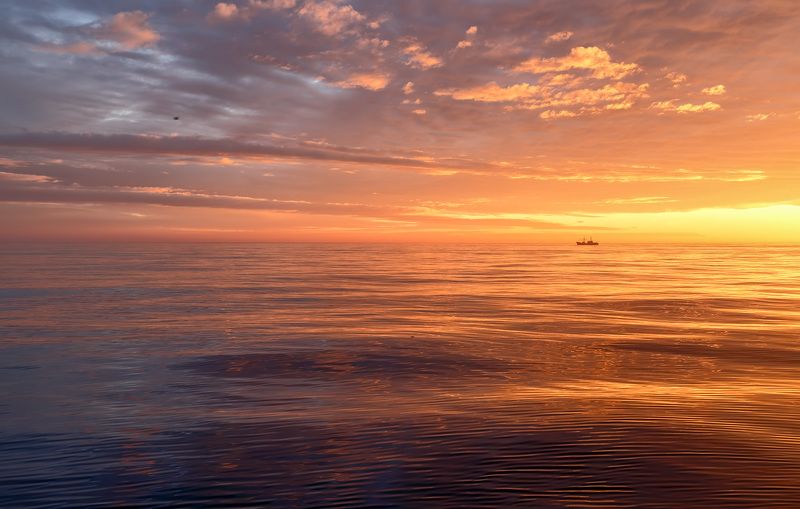 лето, охотское море, закат, судно, штиль на краю уходящего дня фото превью